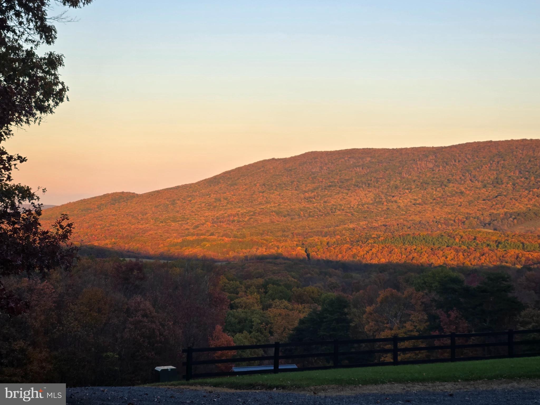 3688 Ash Ruckman Road Augusta, WV 26704 - Photo 65 of 66