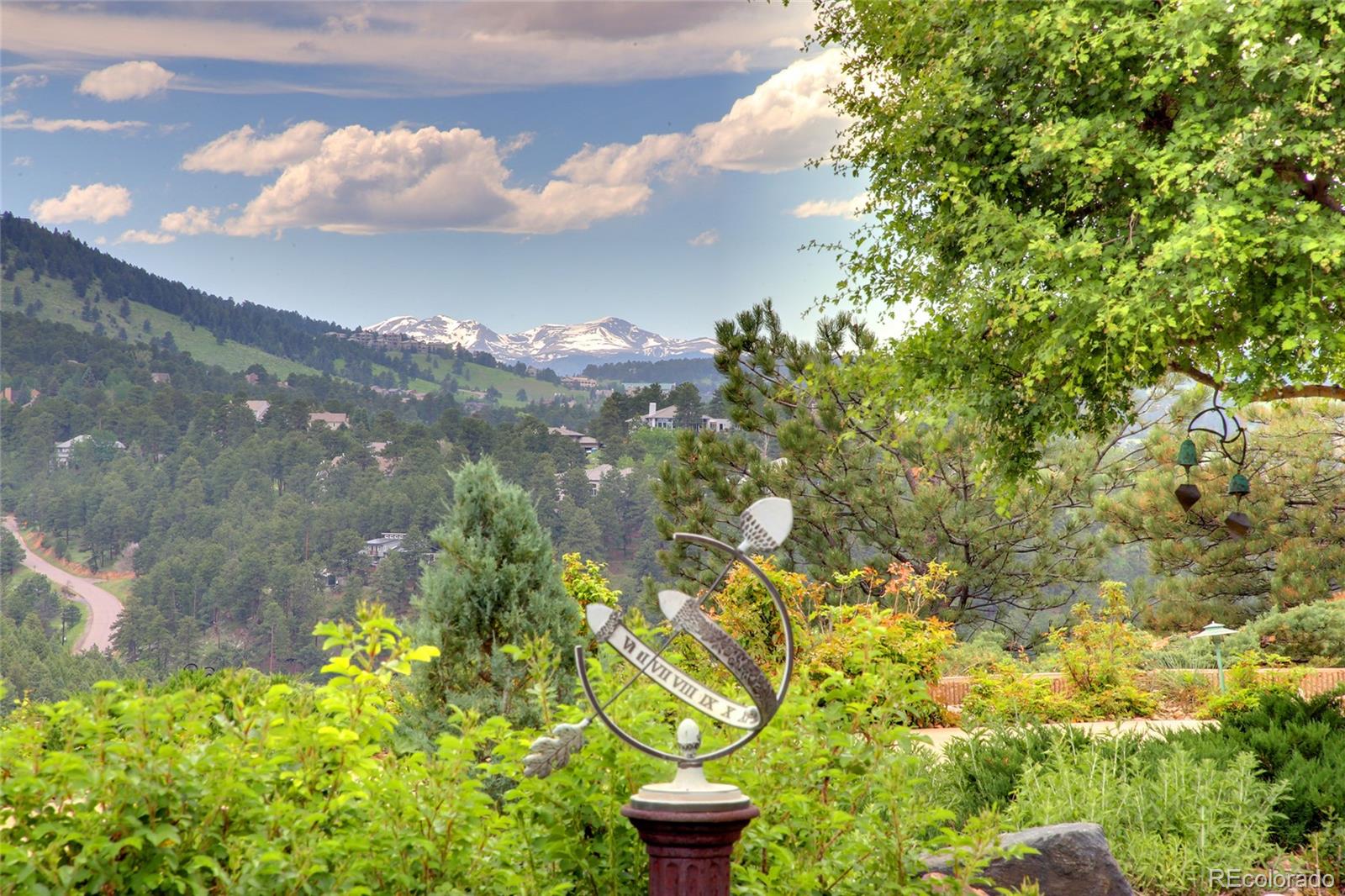 1334 South Grapevine Road Golden, CO 80401 - Photo 9 of 36 a view of a flower in a yard