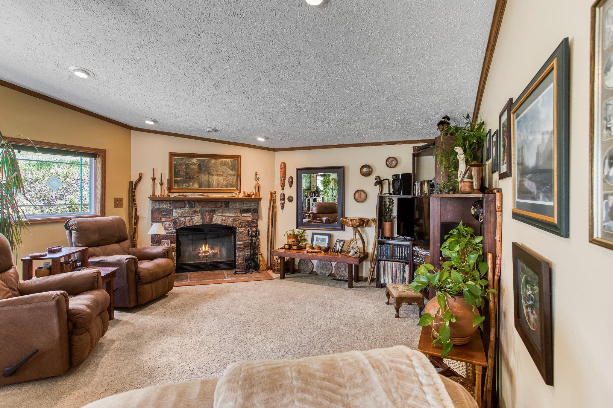 335 Charley Bowser Road Accident, MD 21520 - Photo 24 of 85 Spacious Family Room with warm ambiance.