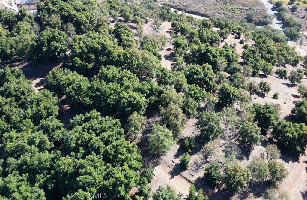 44775 De Luz Road Temecula, CA 92590 - Photo 58 of 65