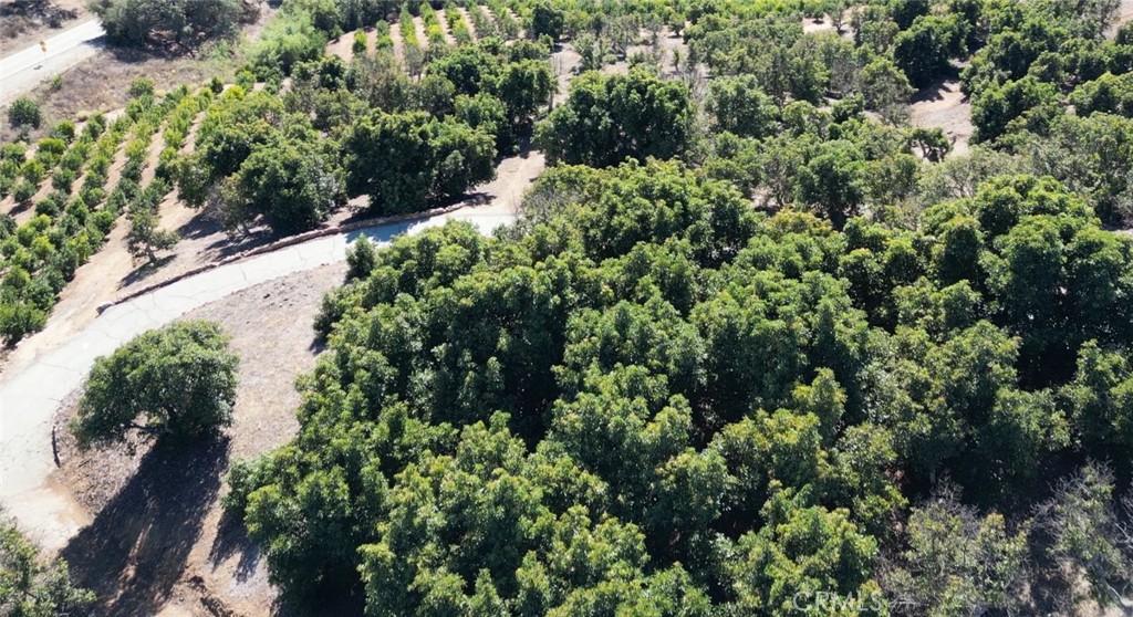 44775 De Luz Road Temecula, CA 92590 - Photo 62 of 65