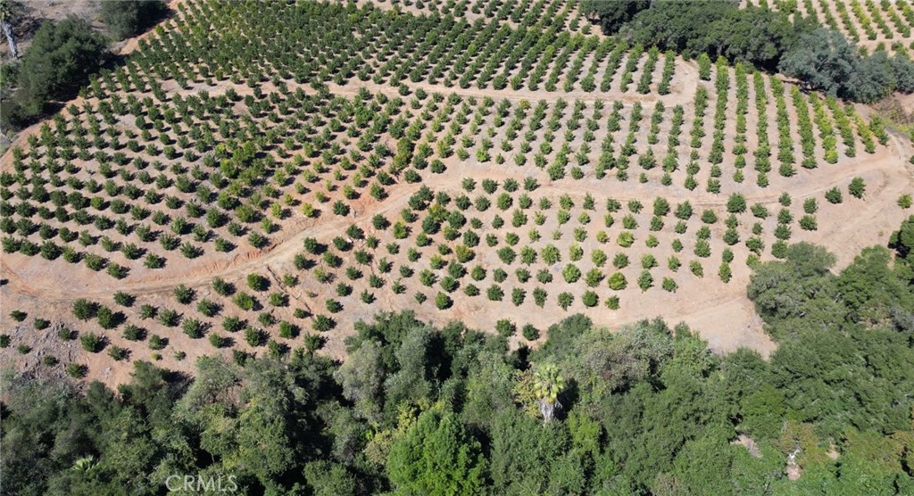 44775 De Luz Road Temecula, CA 92590 - Photo 63 of 65