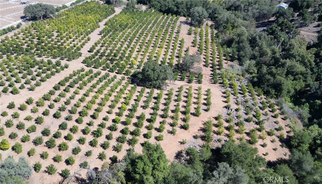 44775 De Luz Road Temecula, CA 92590 - Photo 64 of 65