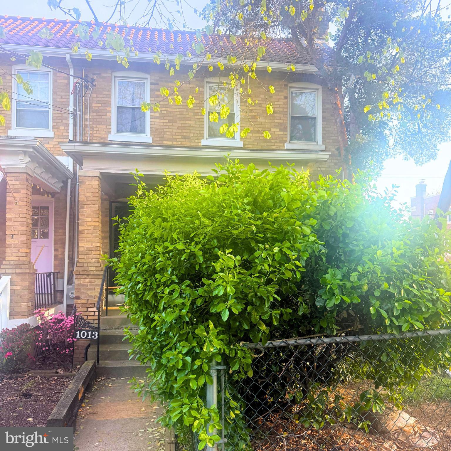 1013 Upshur Street Northeast Washington, DC 20017 - Photo 1 of 1 a flower garden in front of a building