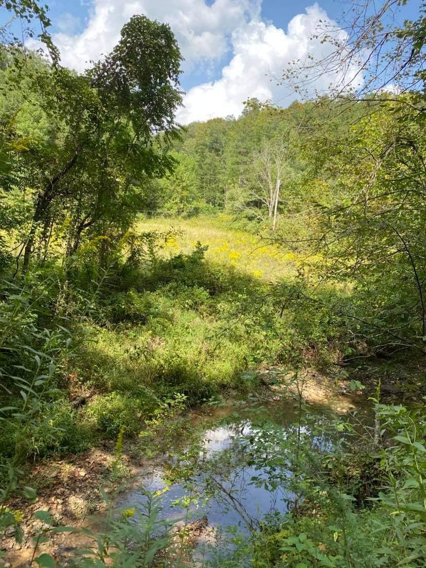 9999 Chestnut Branch Road Manchester, KY 40962 - Photo 20 of 28 56F7378F-D39D-4CDA-A8E0-1C7E9FFA0E1E