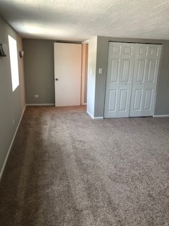 5204 State Road Burbank, IL 60459 - Photo 8 of 30 an empty room with windows