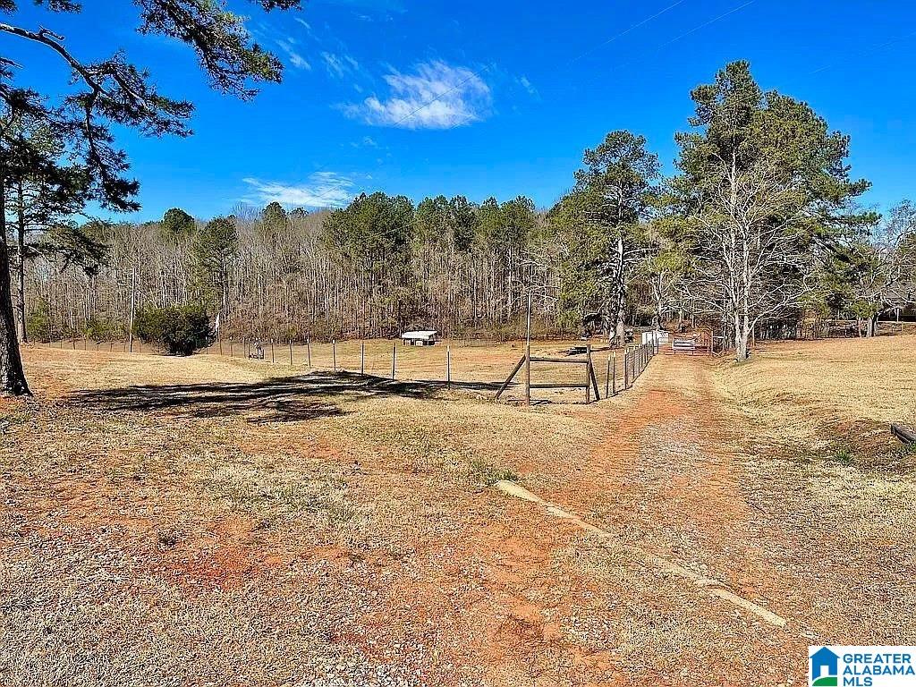 91 Monroe Drive Delta, AL 36258 - Photo 27 of 28
