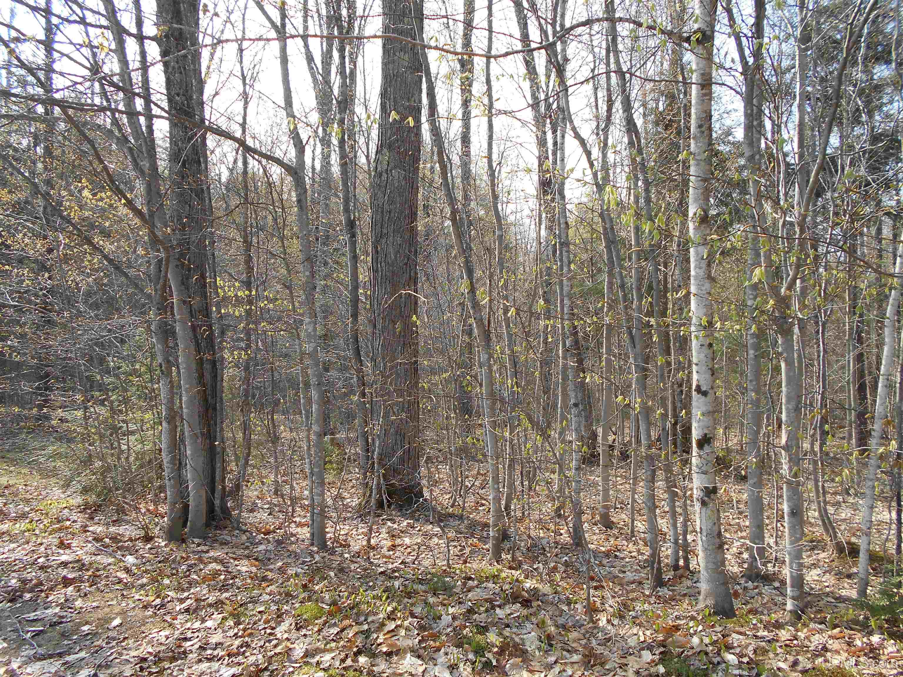 6345 South Northrough Road Wetmore, MI 49895 - Photo 48 of 67