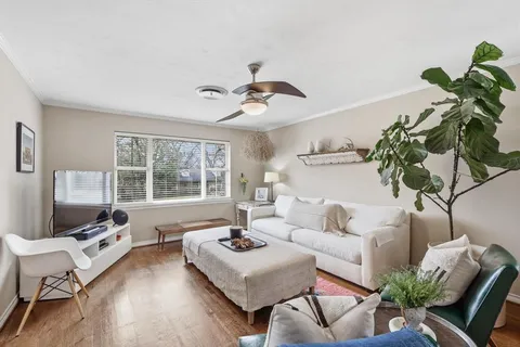 a living room with furniture or couch and a potted plant