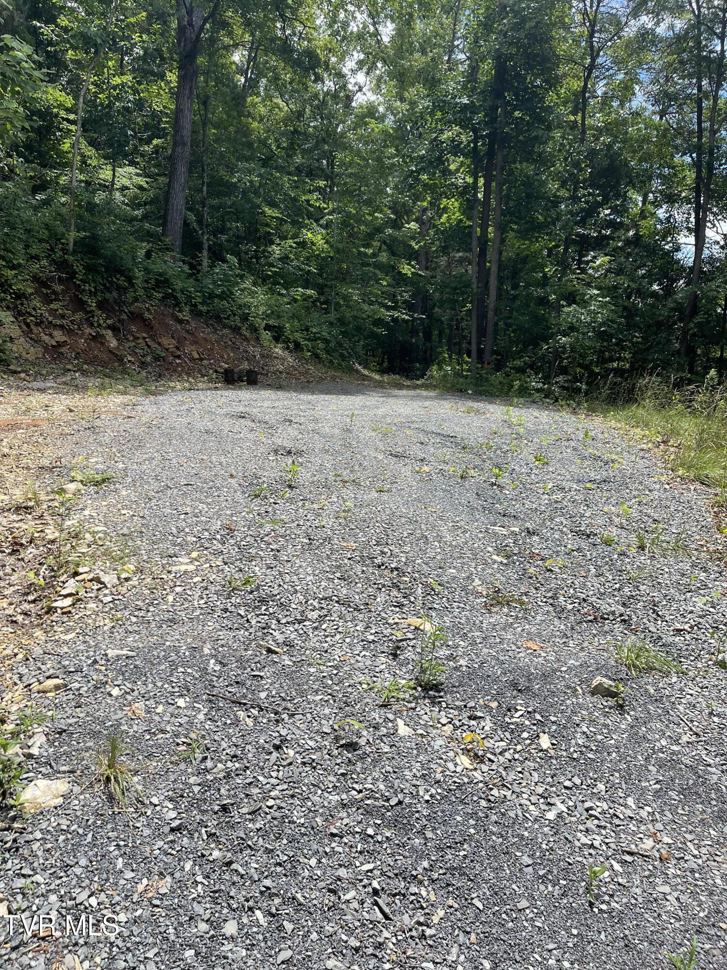 Tbd Johnson Hollow Road Bristol, TN 37620 - Photo 2 of 17 IMG_5099