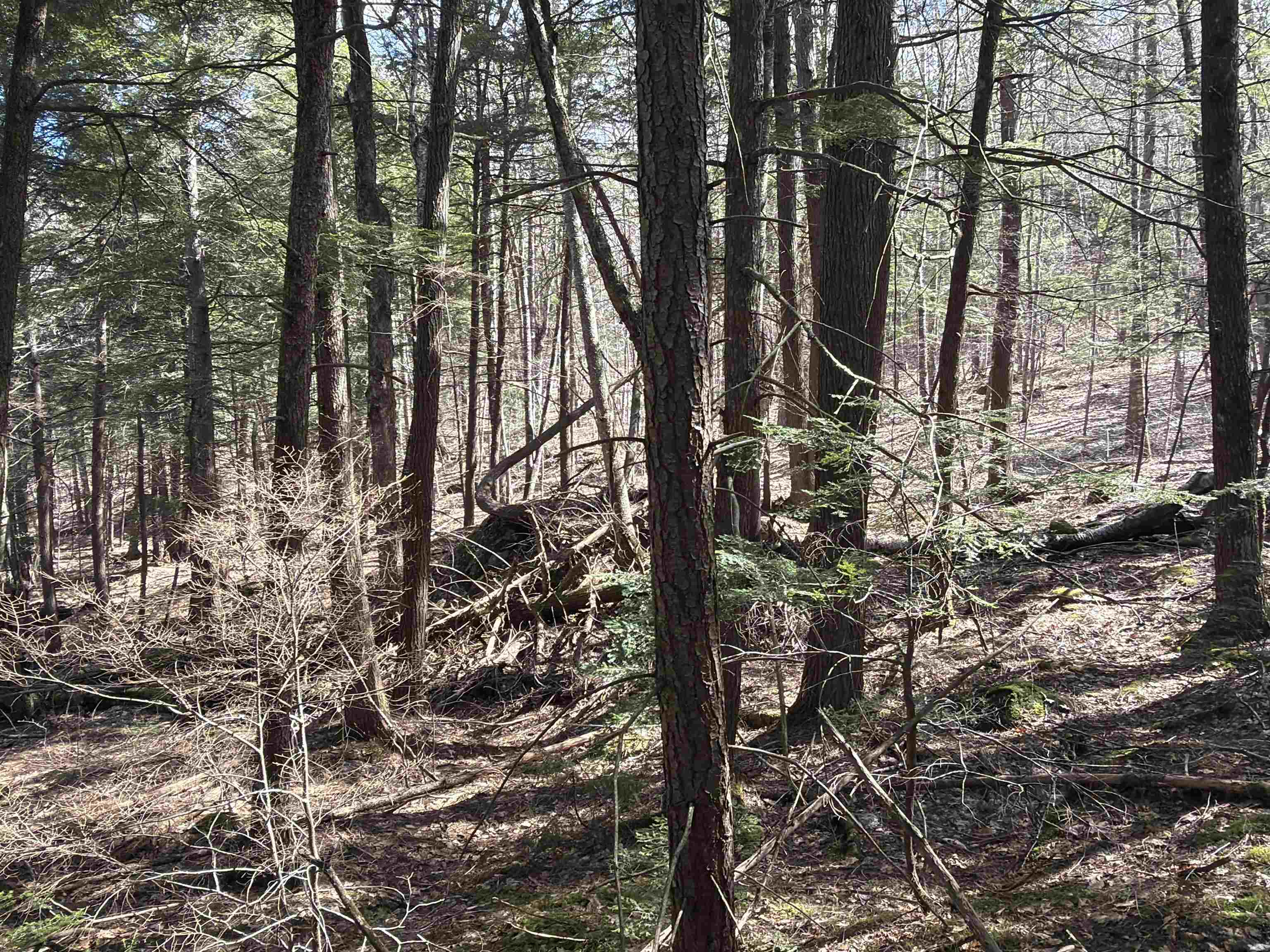 R29-l9 Roxbury Road, Unit LOT 9 Meredith, NH 03253 - Photo 23 of 36