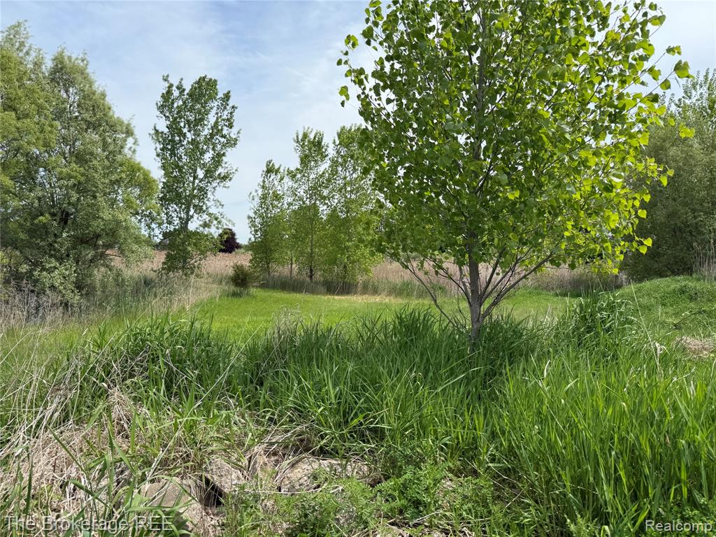 3020 Merwin Road Lapeer, MI 48446 - Photo 9 of 33