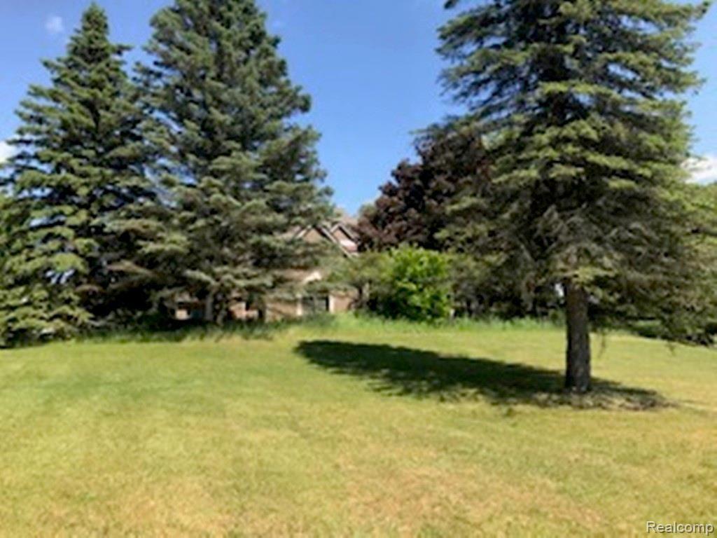 8205 Douglas Road Pinckney, MI 48169 - Photo 10 of 77 IMG_4784.jpg