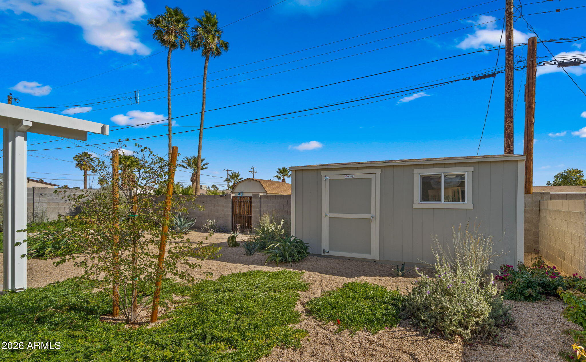 2115 North Normal Avenue Tempe, AZ 85288 - Photo 33 of 38 35-web-or-mls-Backyard4