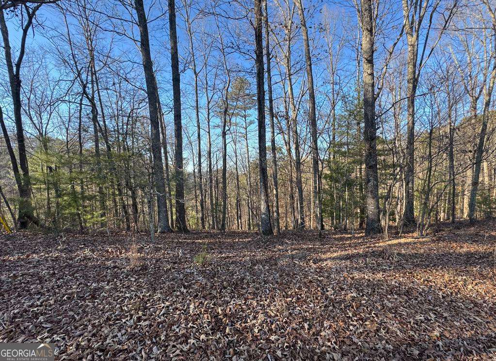 0 Rebekah Ridge, Unit LOT 1710 Talking Rock, GA 30175 - Photo 2 of 8 a view of outdoor space with trees