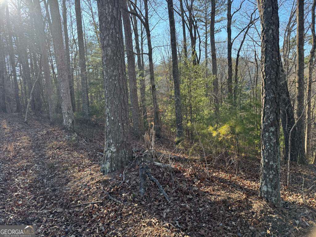 0 Rebekah Ridge, Unit LOT 1710 Talking Rock, GA 30175 - Photo 4 of 8 a view of a forest with trees
