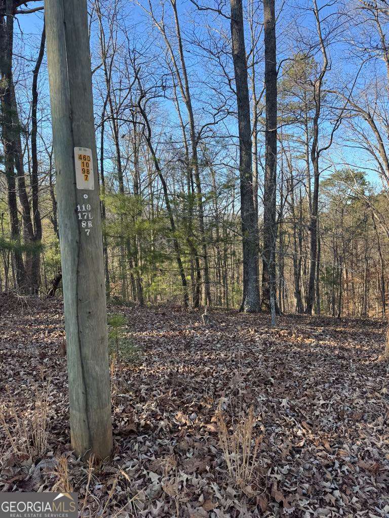 0 Rebekah Ridge, Unit LOT 1710 Talking Rock, GA 30175 - Photo 5 of 8 a view of a yard with plants and trees