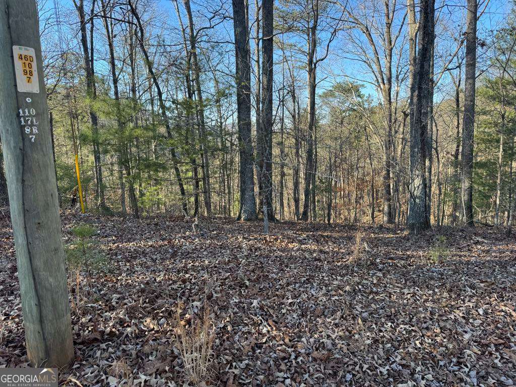 0 Rebekah Ridge, Unit LOT 1710 Talking Rock, GA 30175 - Photo 6 of 8 a backyard of a house with lots of green space