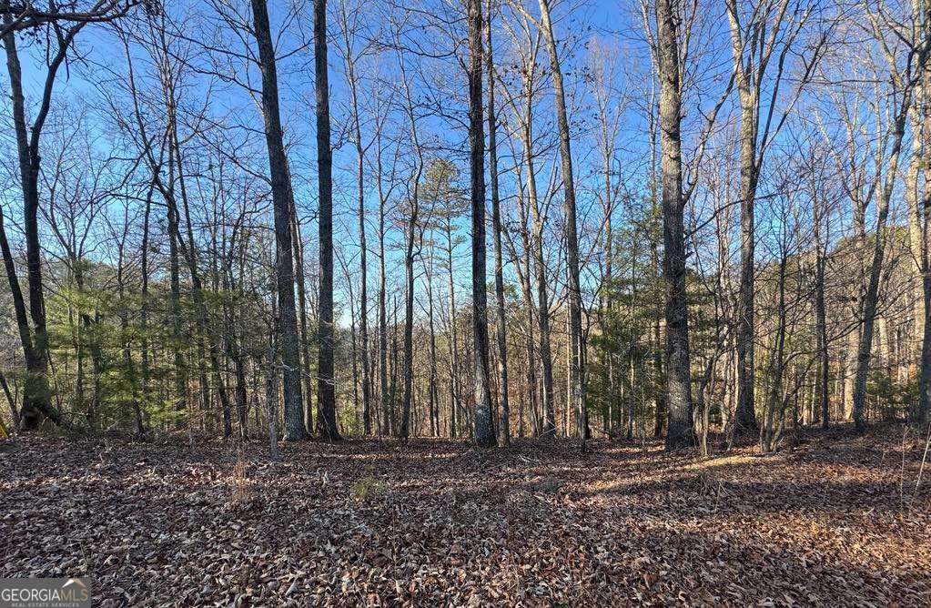 0 Rebekah Ridge, Unit LOT 1710 Talking Rock, GA 30175 - Photo 8 of 8 a view of a backyard with trees