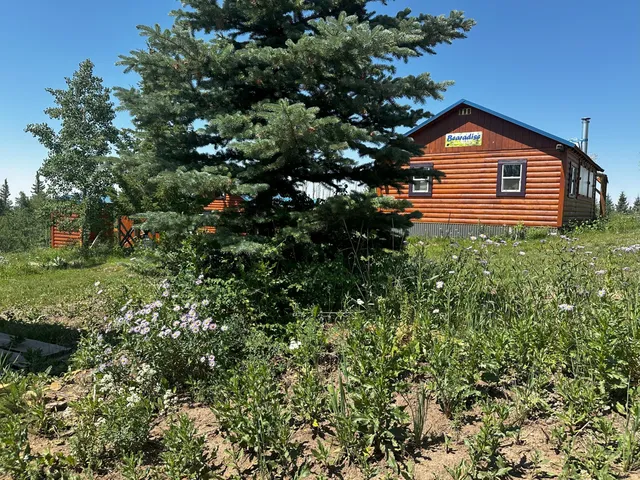 a view of a house with a small yard