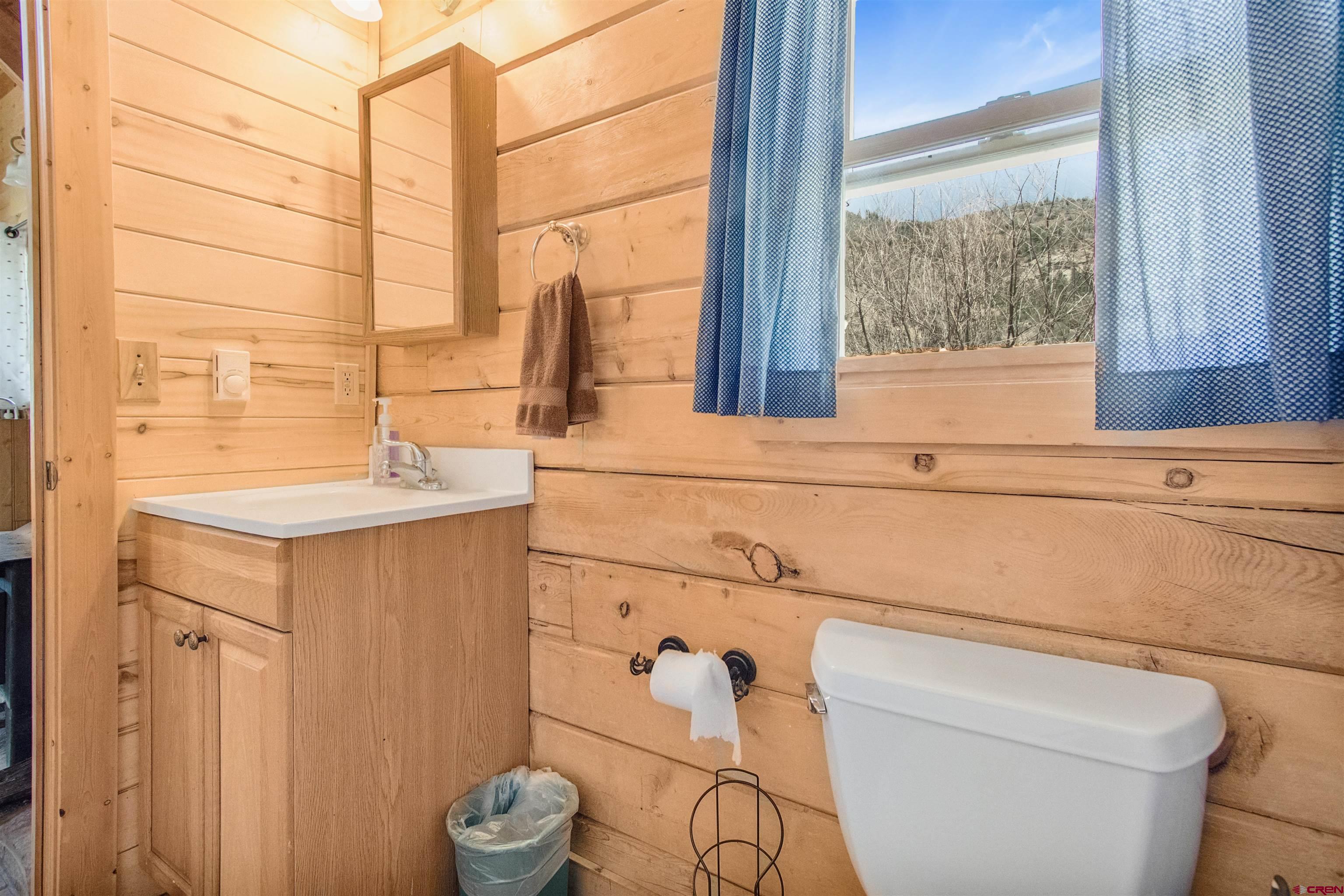 76 Estates Circle Road Pagosa Springs, CO 81147 - Photo 16 of 37