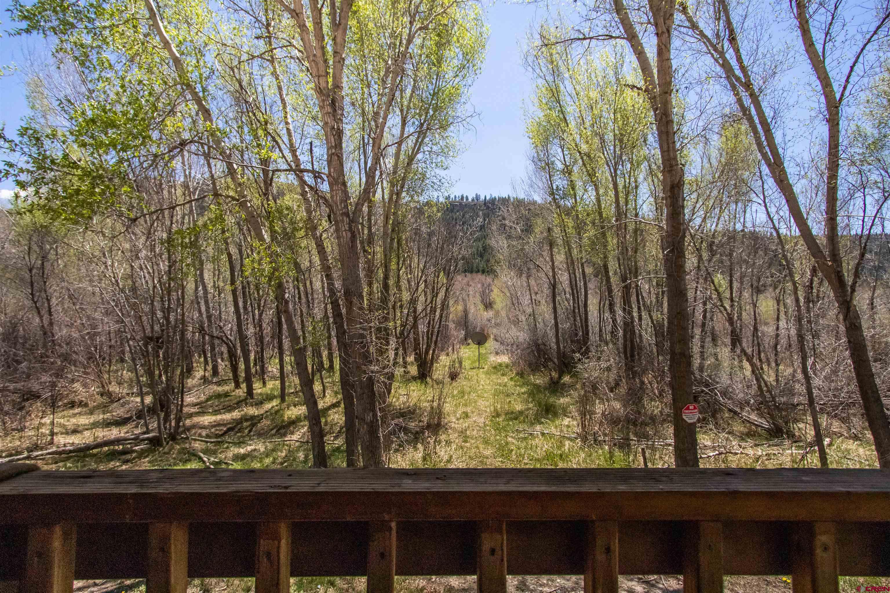 76 Estates Circle Road Pagosa Springs, CO 81147 - Photo 4 of 37