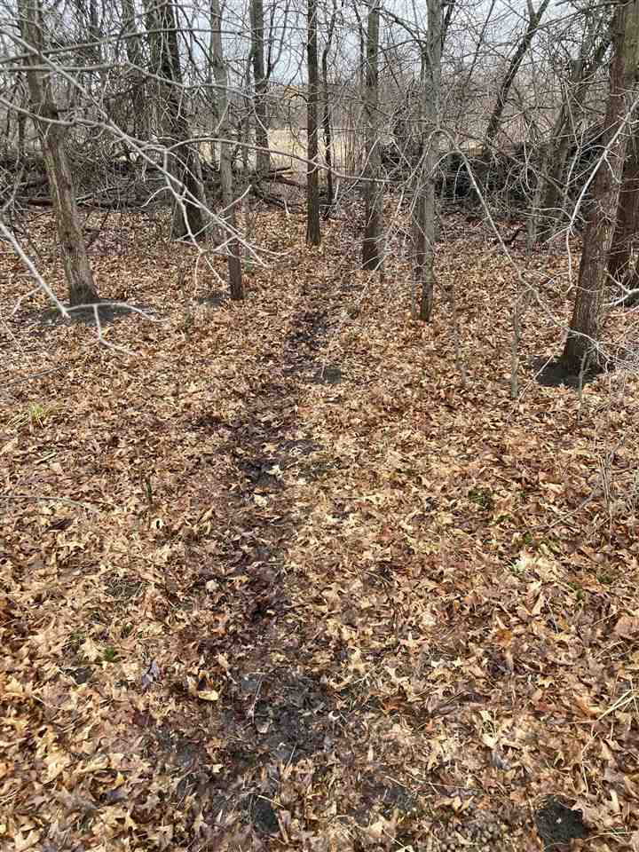 0 Burt Road Brant, MI 48614 - Photo 7 of 13