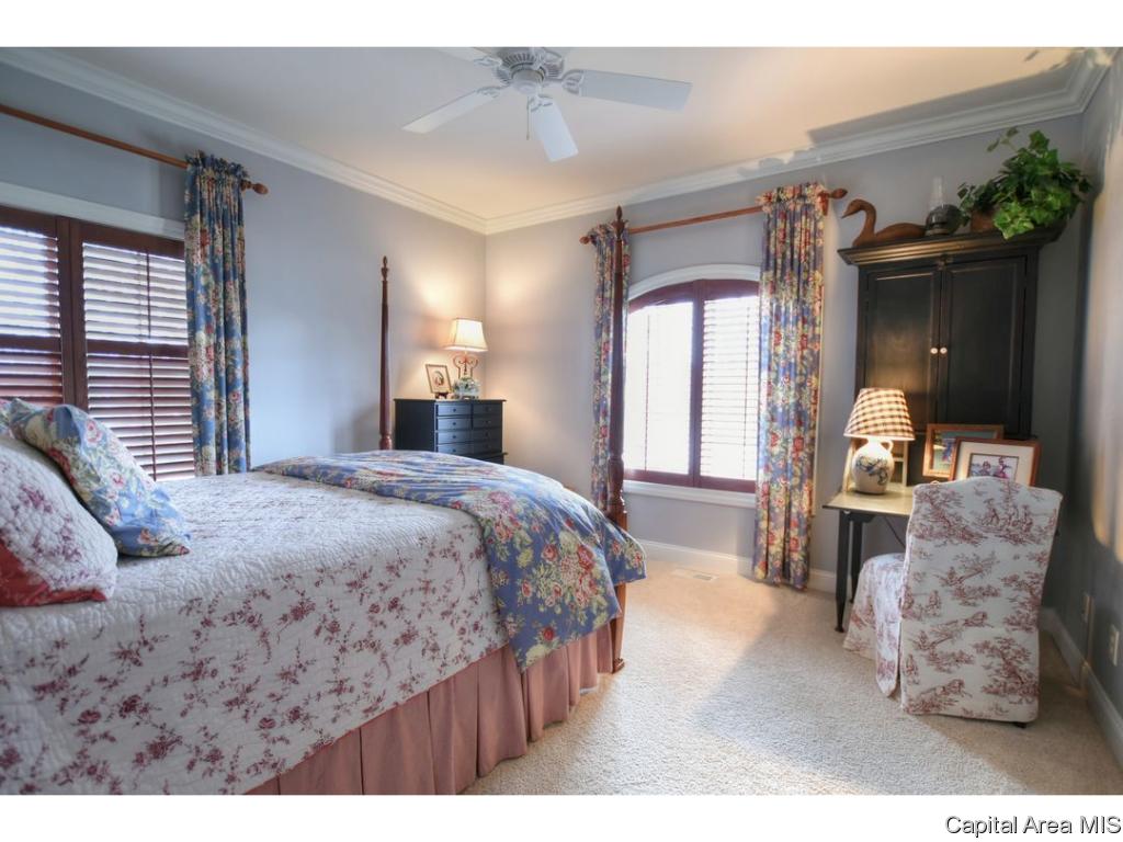 1 Timber Ridge Rochester, IL 62563 - Photo 24 of 36