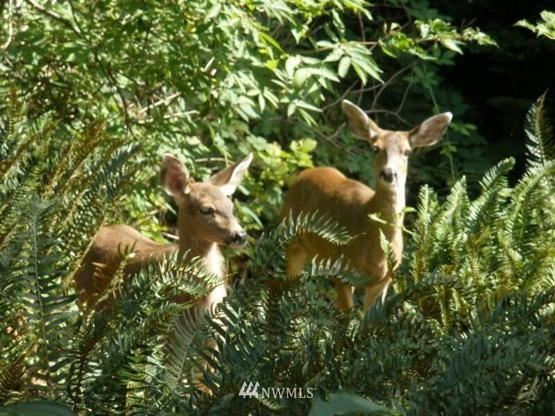 -xxxx Cain Lake Road Sedro-Woolley, WA 98284 - Photo 7 of 7 Gallery Image 7