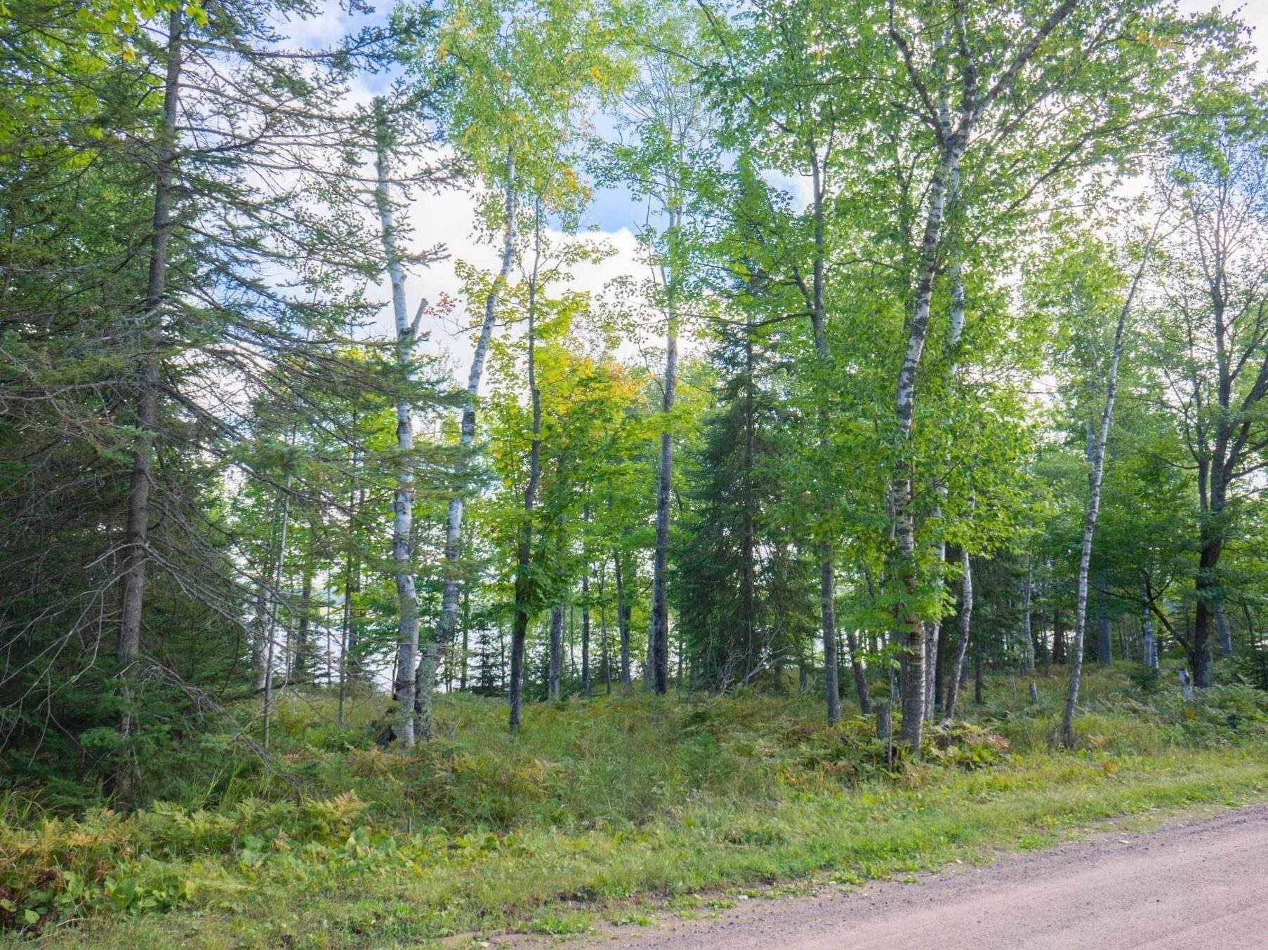 891-xx East Romans Point Road Herbster, WI 54844 - Photo 9 of 17 Gallery Image 9