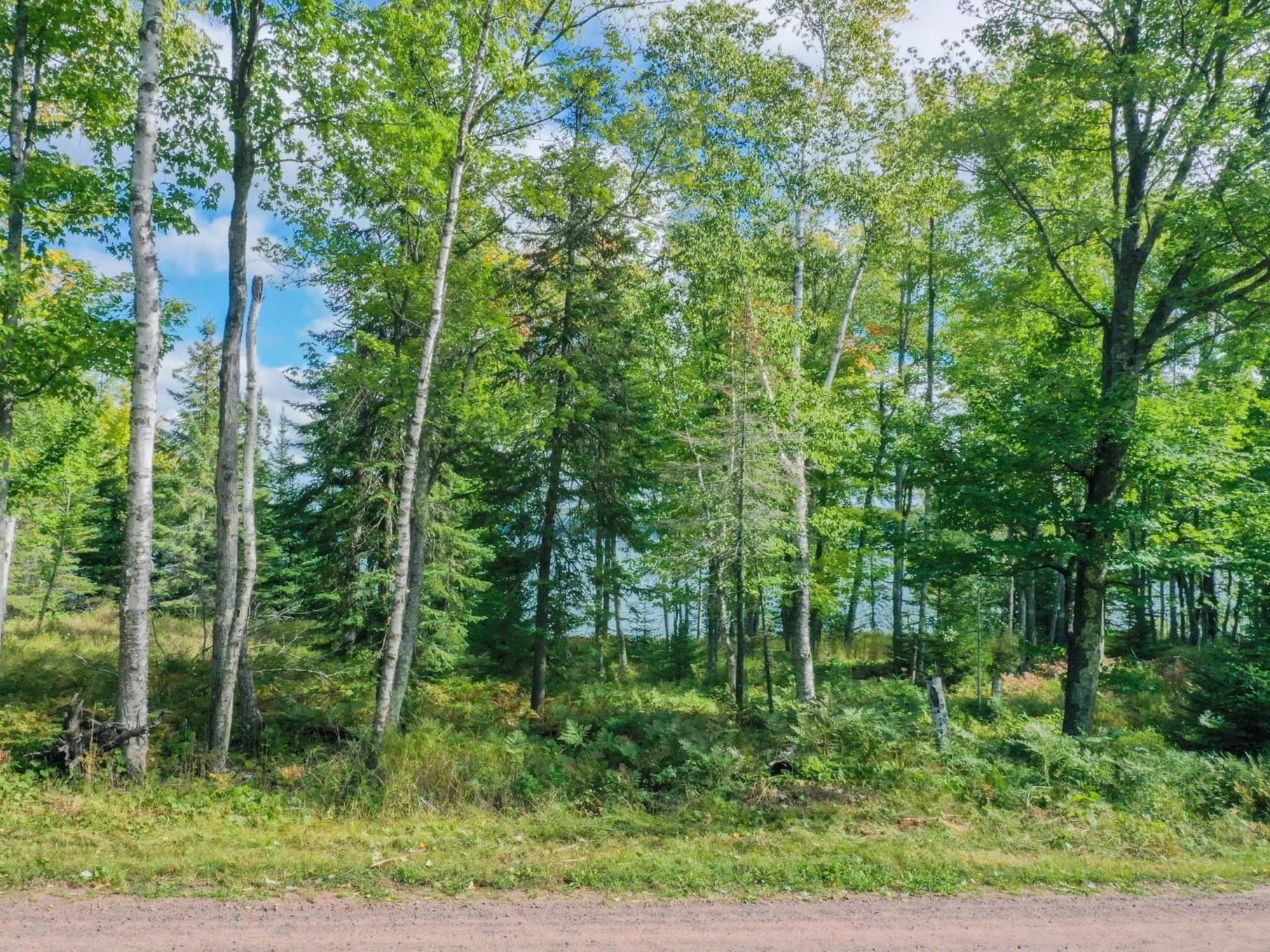 891-xx East Romans Point Road Herbster, WI 54844 - Photo 10 of 17 Gallery Image 10