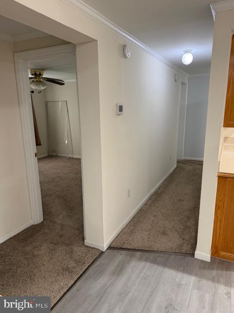 10505 Cedarville Road Brandywine, MD 20613 - Photo 14 of 23