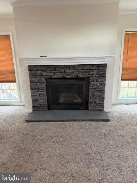 10505 Cedarville Road Brandywine, MD 20613 - Photo 5 of 23 a living room with a fireplace in it