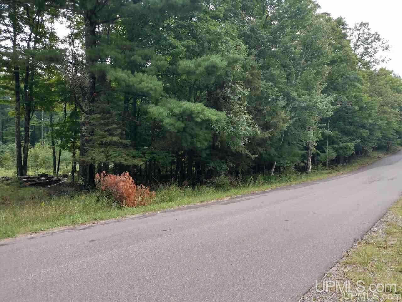 5-acres Co Rd Sa Cornell, MI 49818 - Photo 10 of 27
