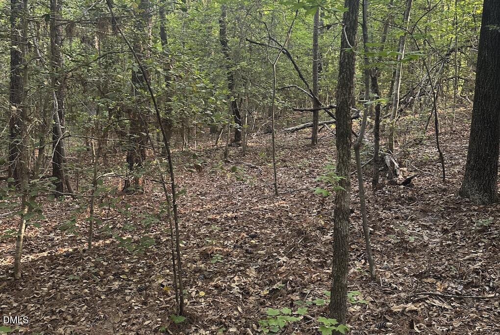 0 L L Cooper Road Cameron, NC 28326 - Photo 14 of 17 a view of a yard