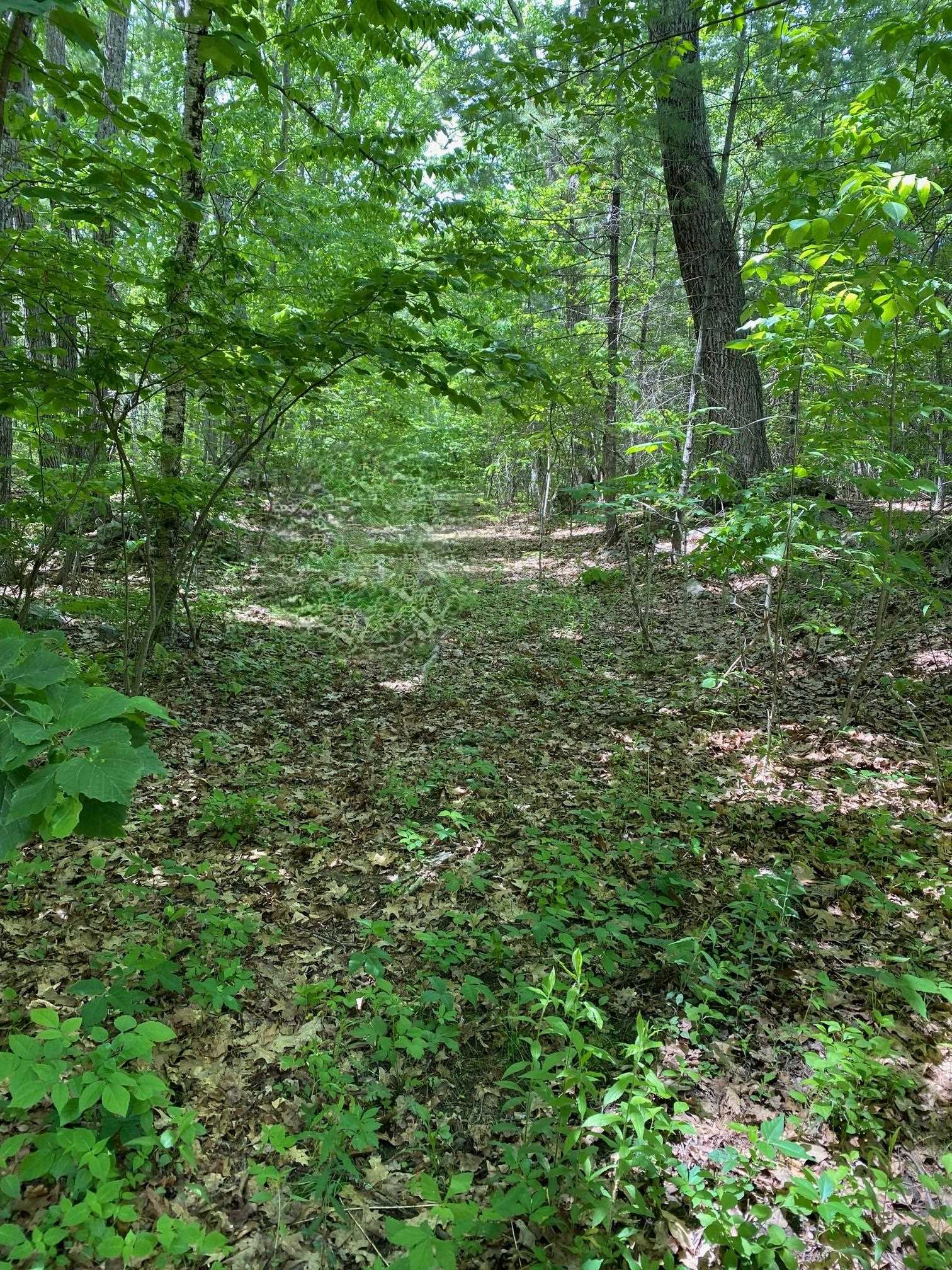 6 Johnny Hill Road Windham, NH 03087 - Photo 2 of 9