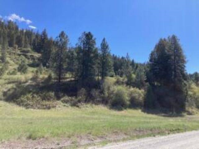 35-xx Rockcut Road Kettle Falls, WA 99141 - Photo 14 of 17