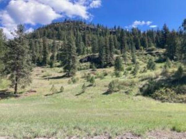 35-xx Rockcut Road Kettle Falls, WA 99141 - Photo 3 of 17