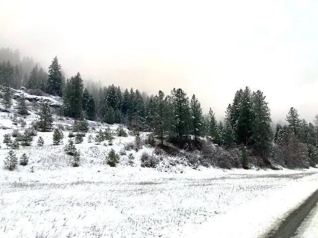 $125,000 | 35-xx Rockcut Road, Kettle Falls, WA 99141