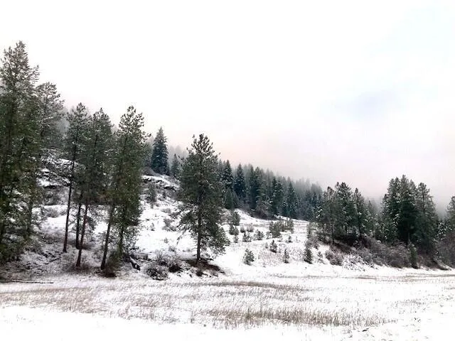 $125,000 | 35-xx Rockcut Road, Kettle Falls, WA 99141