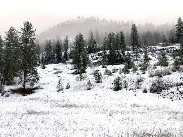 $125,000 | 35-xx Rockcut Road, Kettle Falls, WA 99141