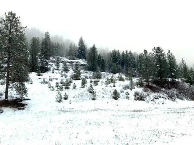 $125,000 | 35-xx Rockcut Road, Kettle Falls, WA 99141