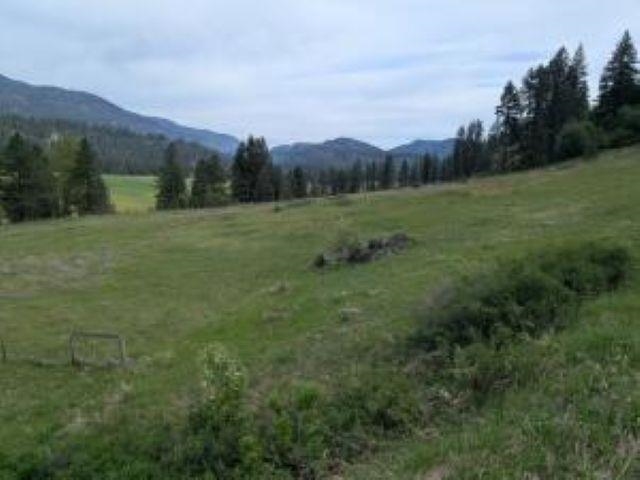 35-xx Rockcut Road Kettle Falls, WA 99141 - Photo 7 of 17