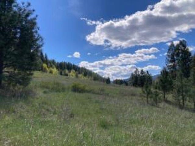 35-xx Rockcut Road Kettle Falls, WA 99141 - Photo 8 of 17