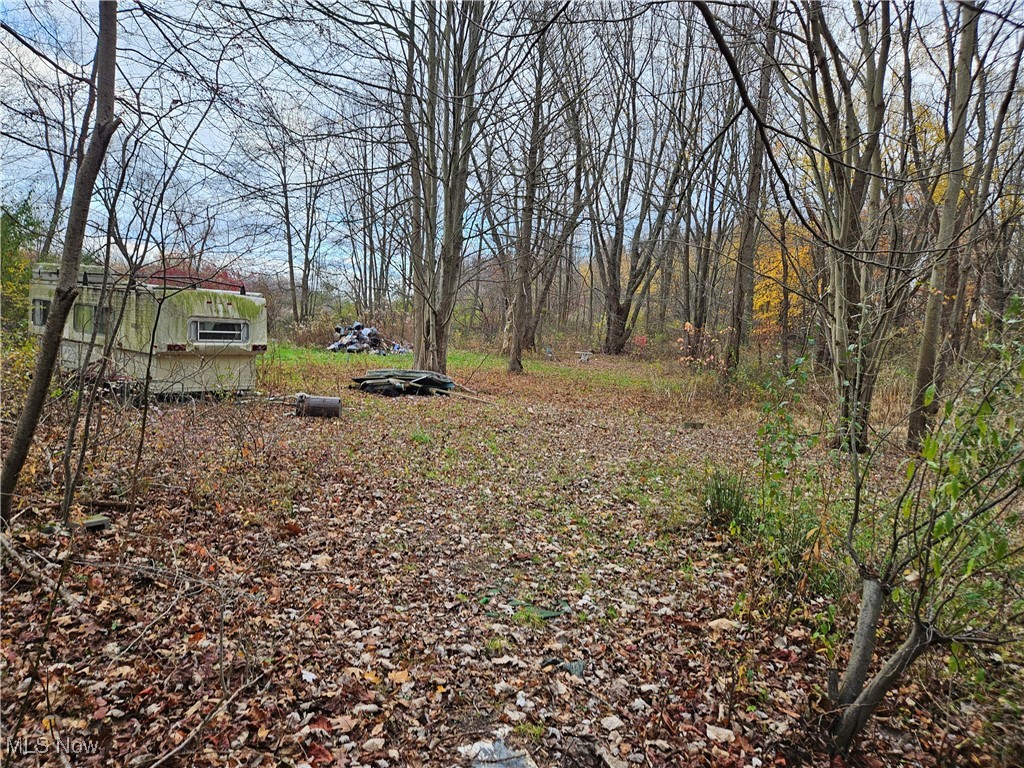 2866 McMackin Road Madison, OH 44057 - Photo 11 of 17 View of yard