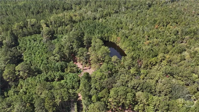 $349,900 | 0 Stillwell Clyo Road, Springfield, GA 31329