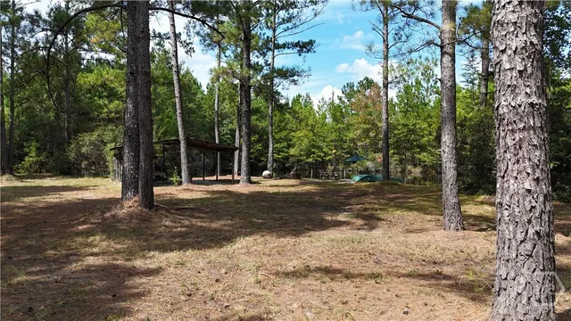 $349,900 | 0 Stillwell Clyo Road, Springfield, GA 31329