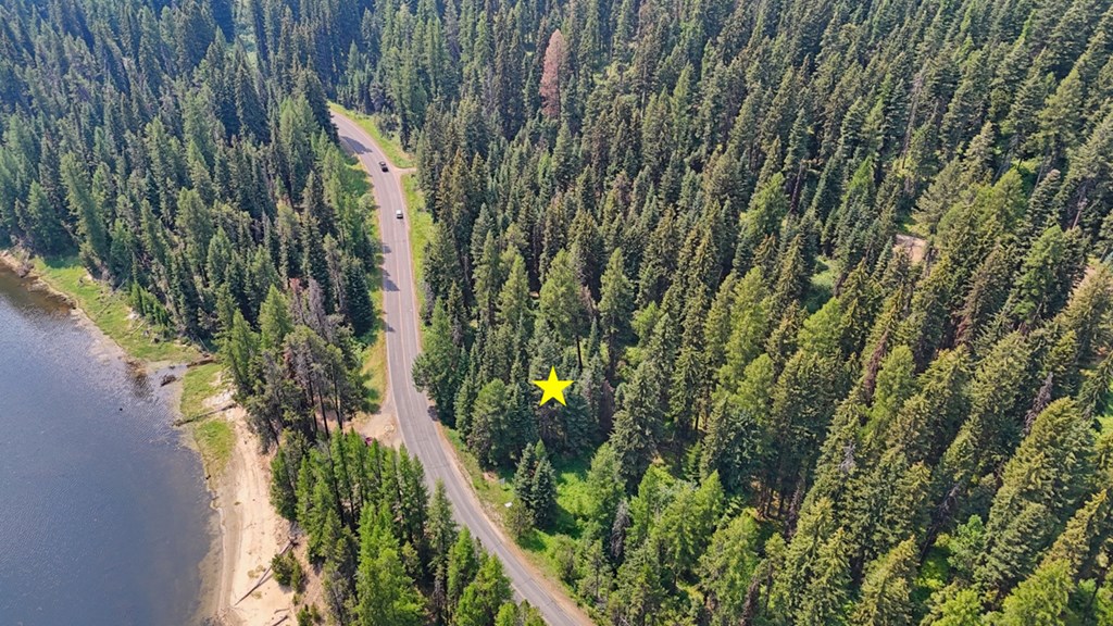 Tax #3 West Tax Road Donnelly, ID 83615 - Photo 4 of 15 Bring Your Ideas