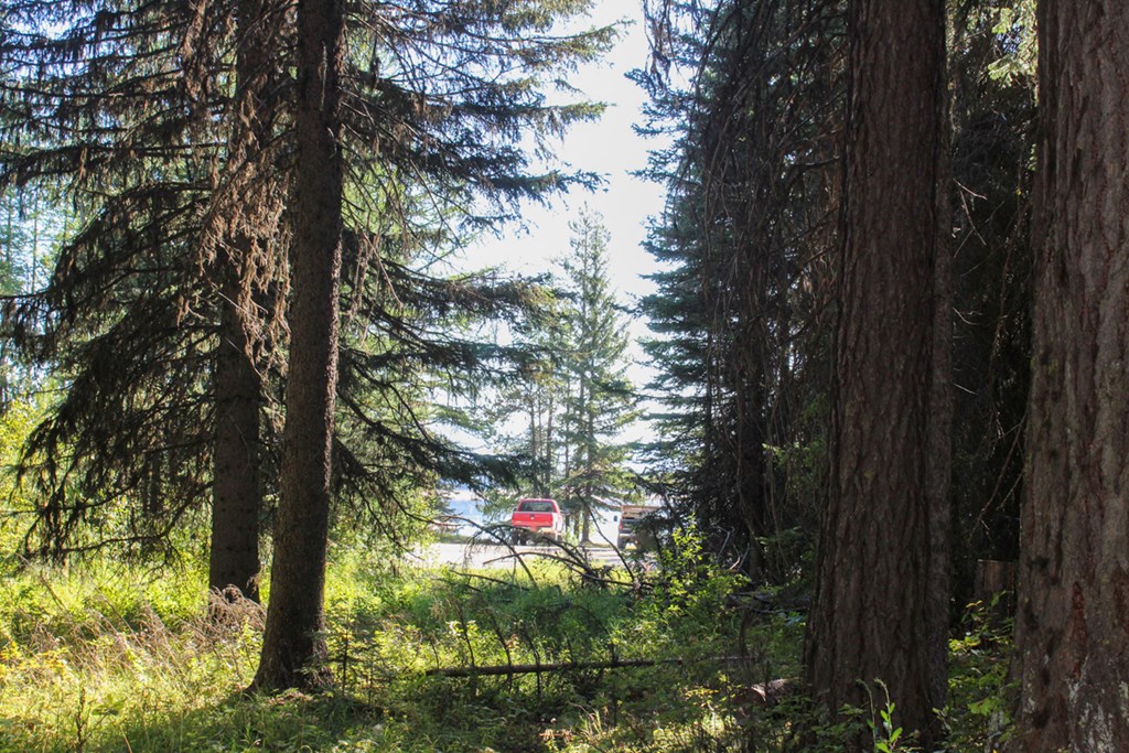 Tax #3 West Tax Road Donnelly, ID 83615 - Photo 5 of 15 Estate Parcel Close to Tamarack Resort