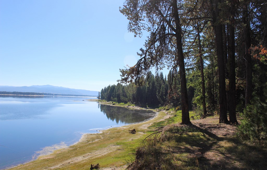 Tax #3 West Tax Road Donnelly, ID 83615 - Photo 6 of 15 South View From Parking Area Across From Property